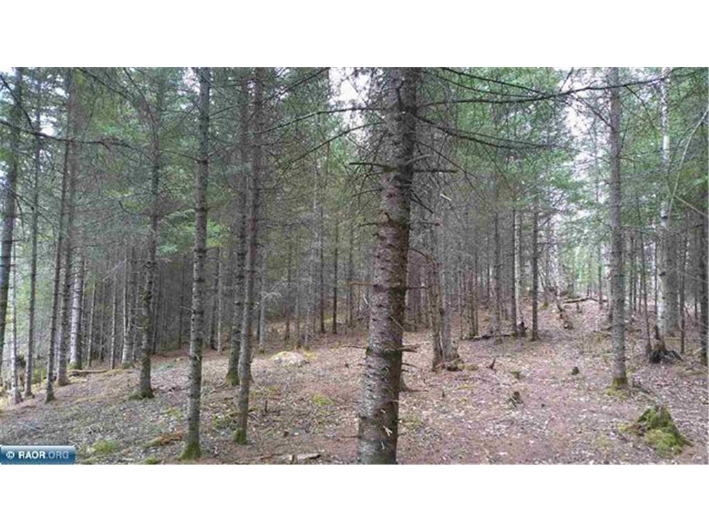 TBD Parcel 14 Hwy 115 Greenwood Twp MN 55790 7070200 image10