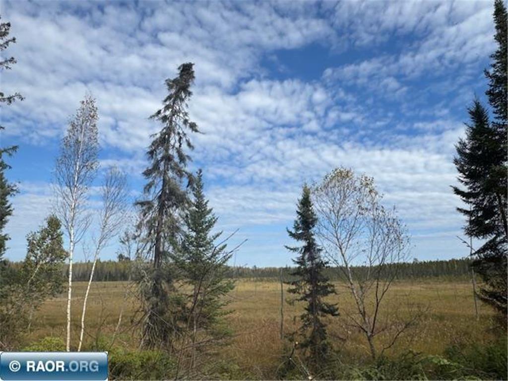 TBD Parcel 14 Hwy 115 Greenwood Twp MN 55790 7070200 image11
