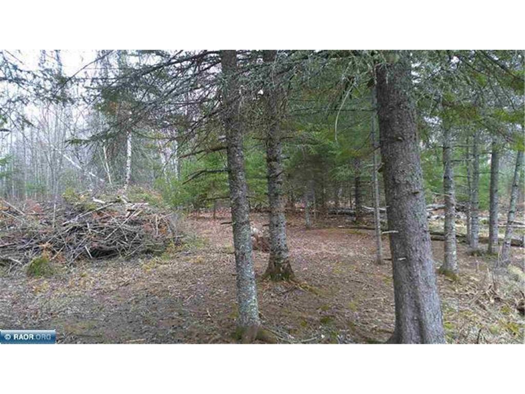 TBD Parcel 14 Hwy 115 Greenwood Twp MN 55790 7070200 image12