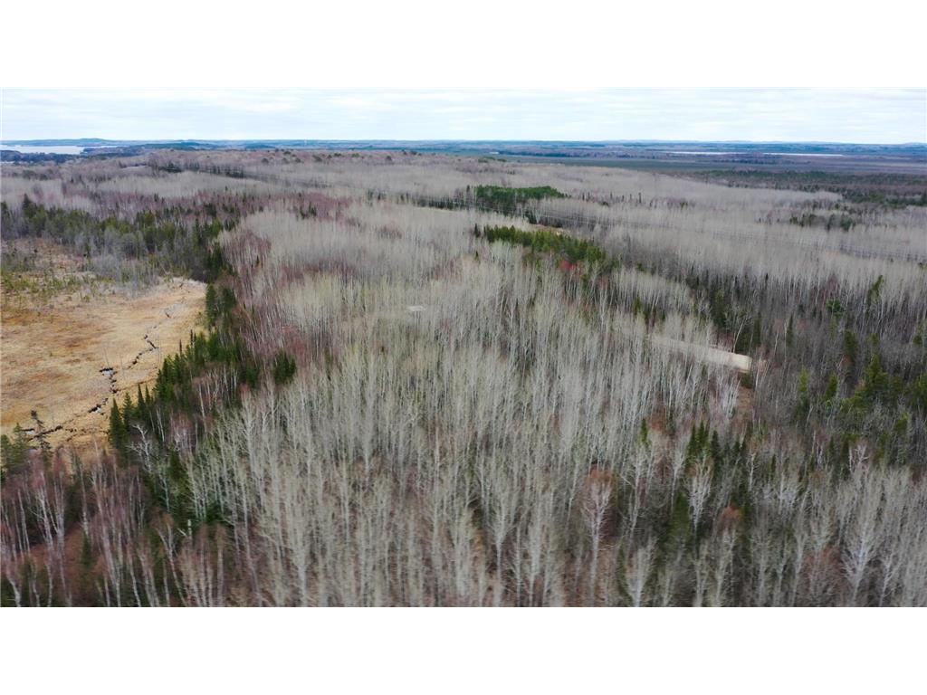 TBD Parcel 14 Hwy 115 Greenwood Twp MN 55790 7070200 image2