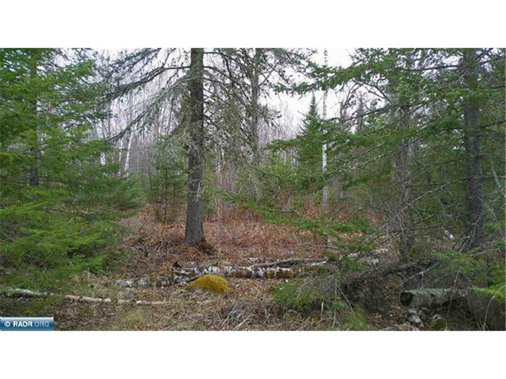 TBD Parcel 15 Hwy 115 Greenwood Twp MN 55790 7070213 image13
