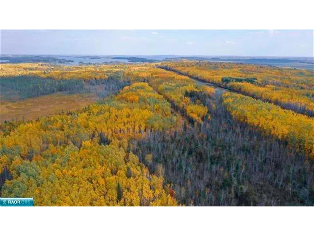 TBD Parcel 15 Hwy 115 Greenwood Twp MN 55790 7070213 image17