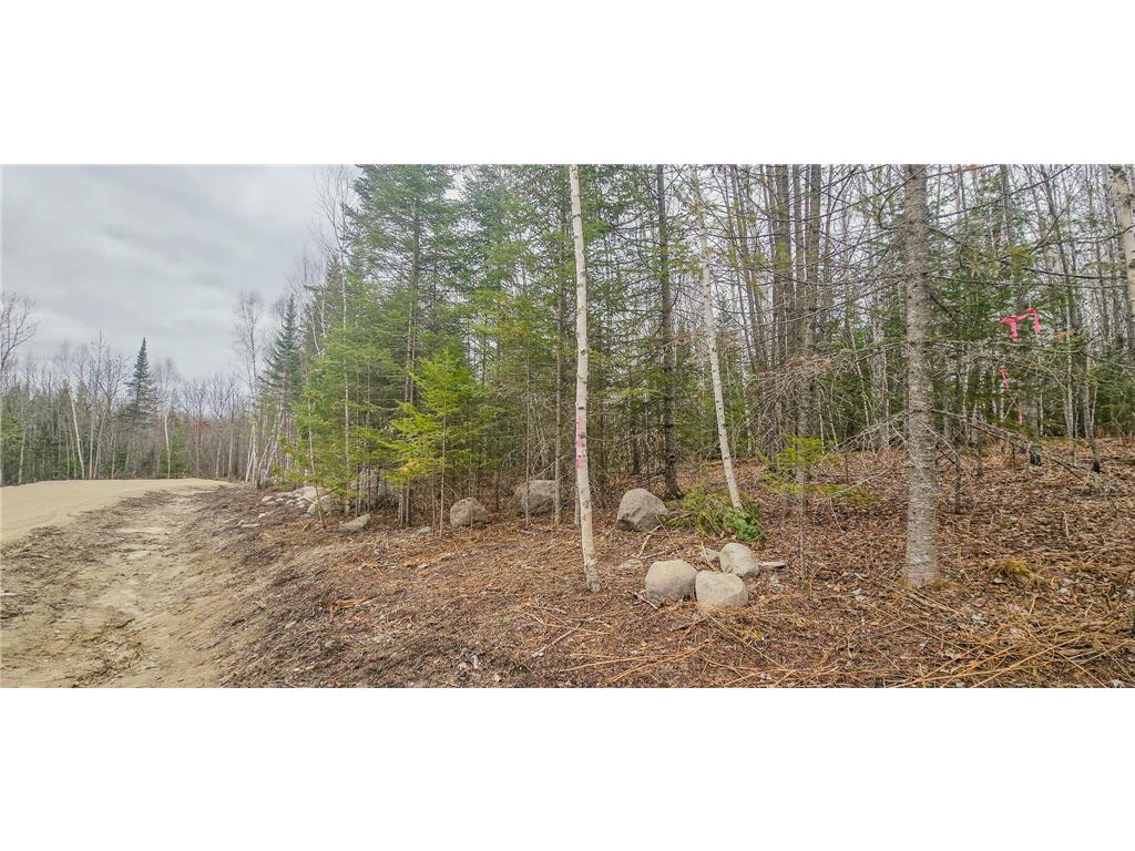 TBD Parcel 15 Hwy 115 Greenwood Twp MN 55790 7070213 image5