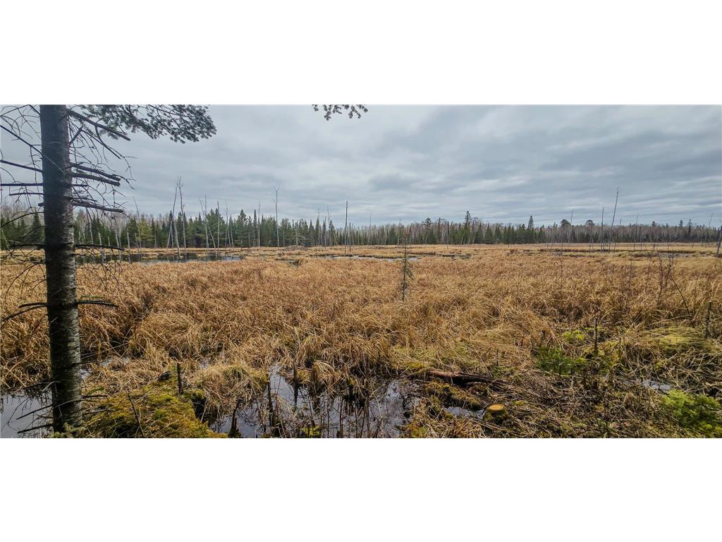 TBD Parcel 15 Hwy 115 Greenwood Twp MN 55790 7070213 image6
