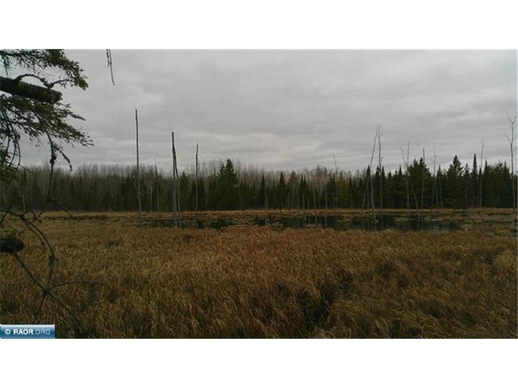 TBD Parcel 15 Hwy 115 Greenwood Twp MN 55790 7070213 image8