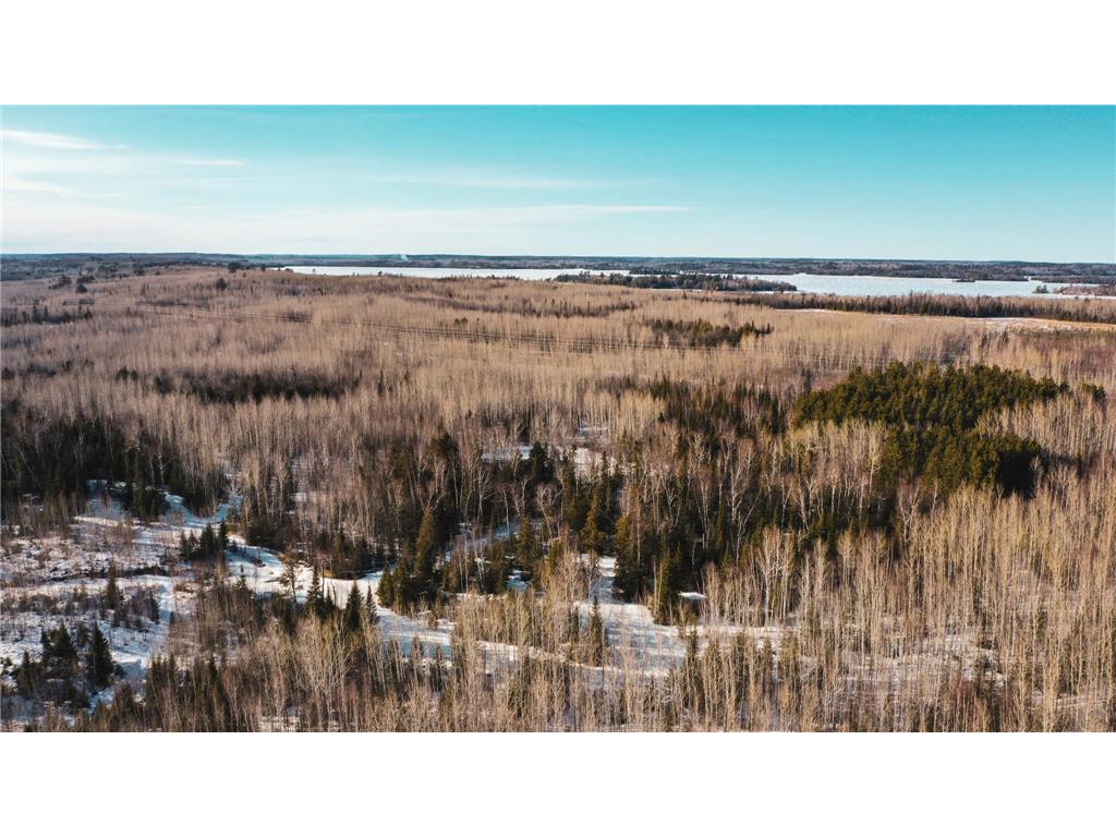 TBD Parcel 17 Hwy 115 Greenwood Twp MN 55790 7036003 image3