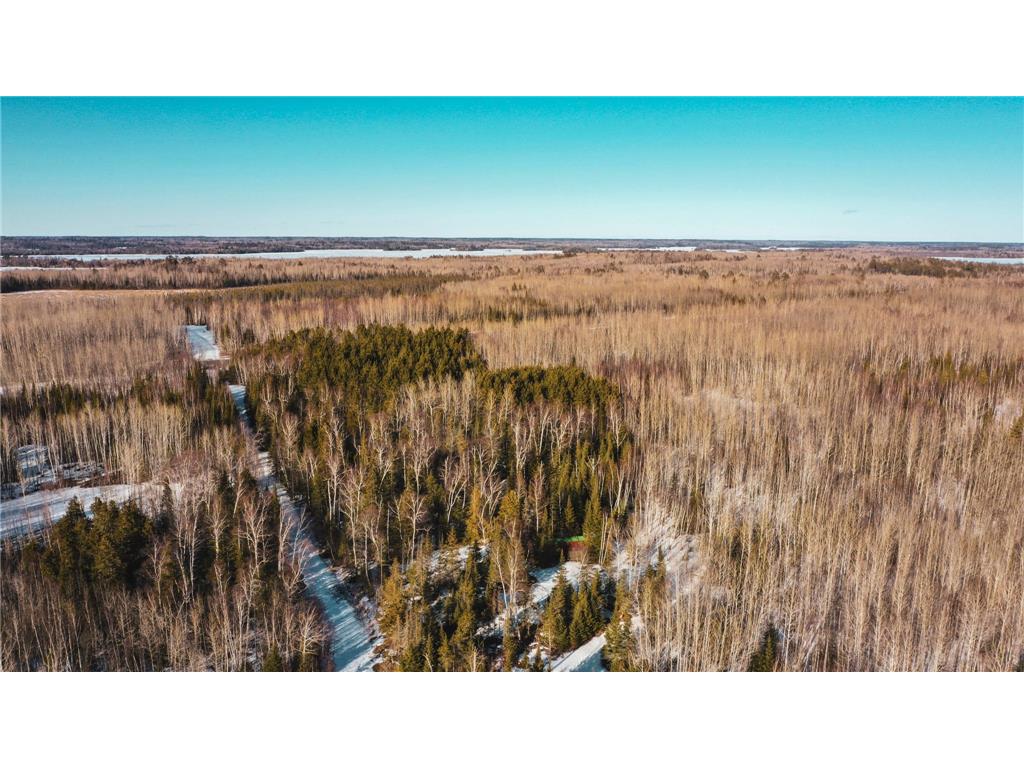 TBD Parcel 17 Hwy 115 Greenwood Twp MN 55790 7036003 image4