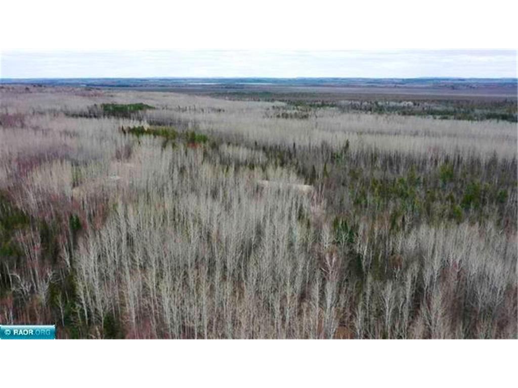 TBD Parcel 19 Hwy 115 Greenwood Twp MN 55790 7070221 image11