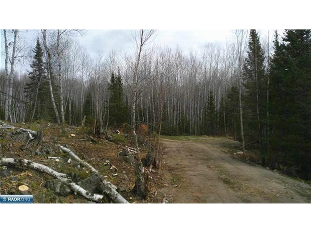 TBD Parcel 19 Hwy 115 Greenwood Twp MN 55790 7070221 image12