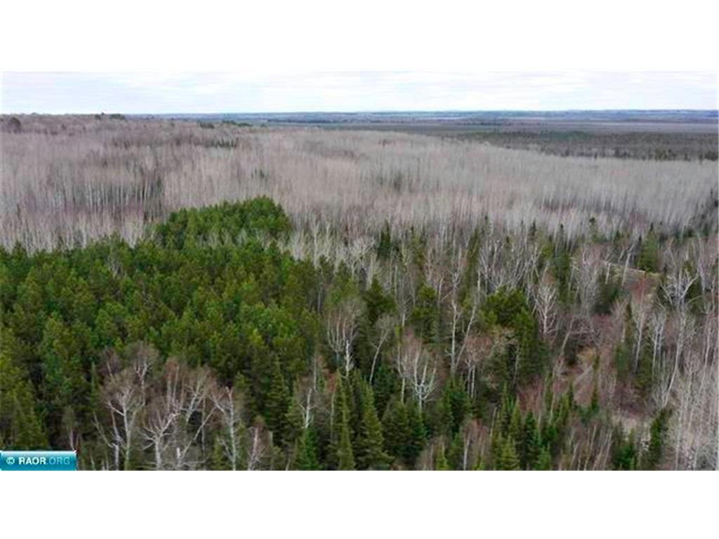 TBD Parcel 19 Hwy 115 Greenwood Twp MN 55790 7070221 image8