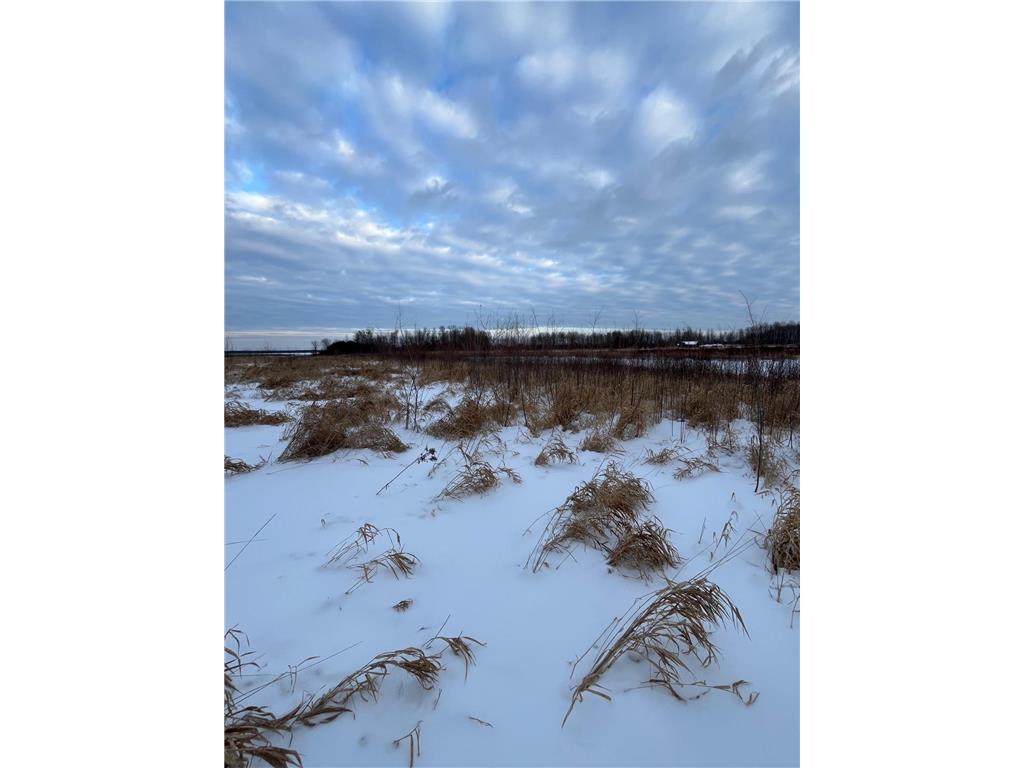 TBD Parcel 2 E Pine Drive Angle Inlet MN 56711 - Pine Creek 7002597 image6