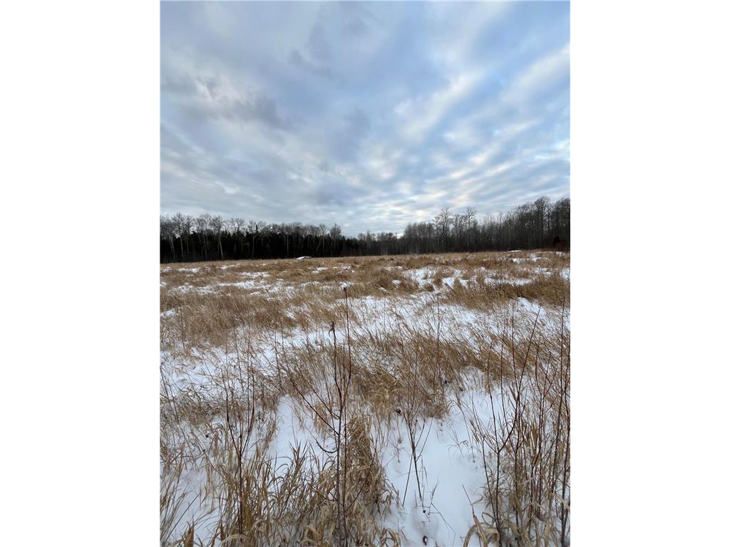 TBD Parcel 2 E Pine Drive Angle Inlet MN 56711 - Pine Creek 7002597 image7