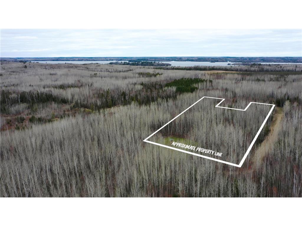 TBD Parcel 20 Hwy 115 Greenwood Twp MN 55790 7070237 image1