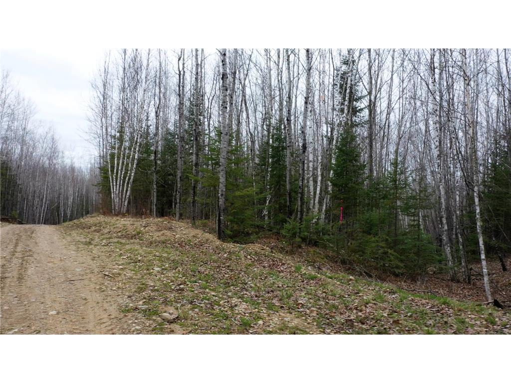TBD Parcel 20 Hwy 115 Greenwood Twp MN 55790 7070237 image2