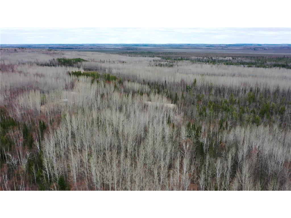 TBD Parcel 20 Hwy 115 Greenwood Twp MN 55790 7070237 image4