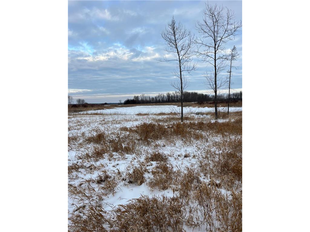 TBD Parcel 3 E Pine Drive Angle Inlet MN 56711 - Pine Creek 7002768 image4