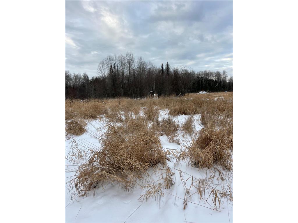 TBD Parcel 3 E Pine Drive Angle Inlet MN 56711 - Pine Creek 7002768 image5