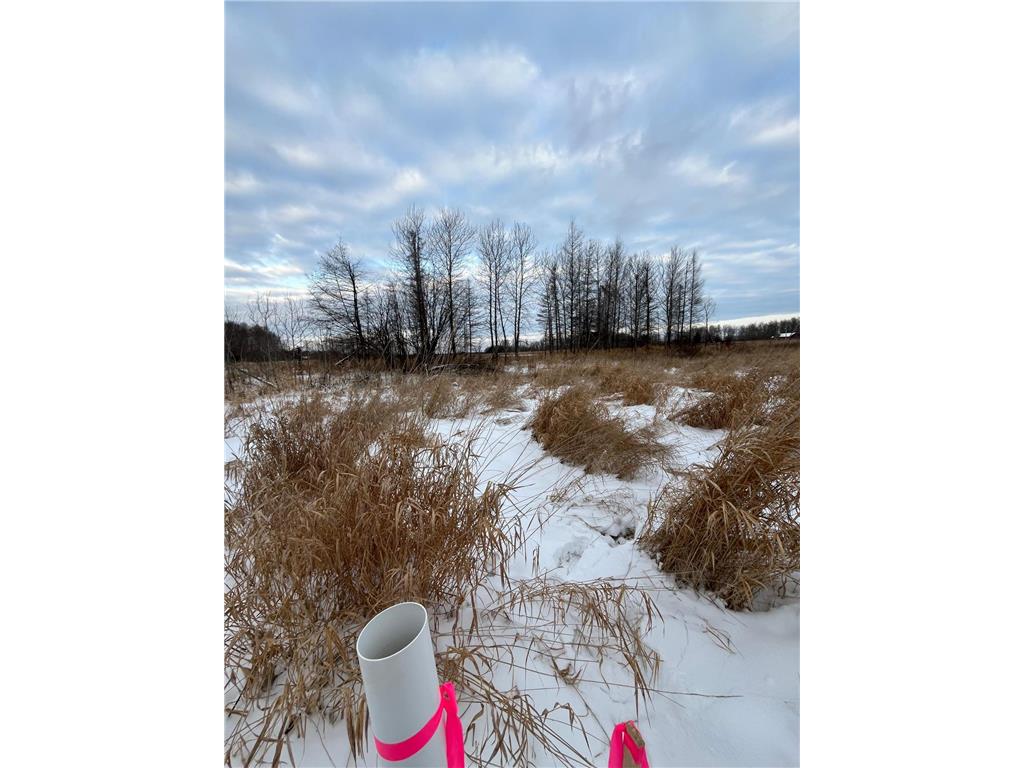 TBD Parcel 3 E Pine Drive Angle Inlet MN 56711 - Pine Creek 7002768 image8