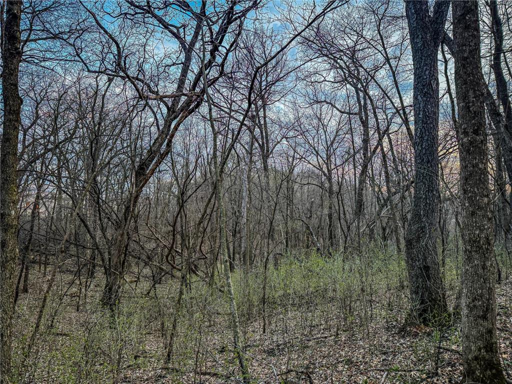 TBD (Parcel 3) White Bridge Road NE Rochester MN 55906 - Zumbro 7024500 image13