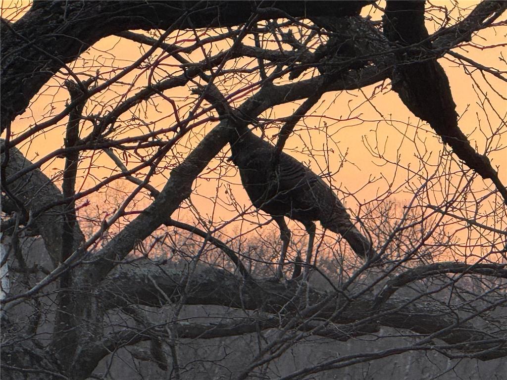 TBD (Parcel 3) White Bridge Road NE Rochester MN 55906 - Zumbro 7024500 image15