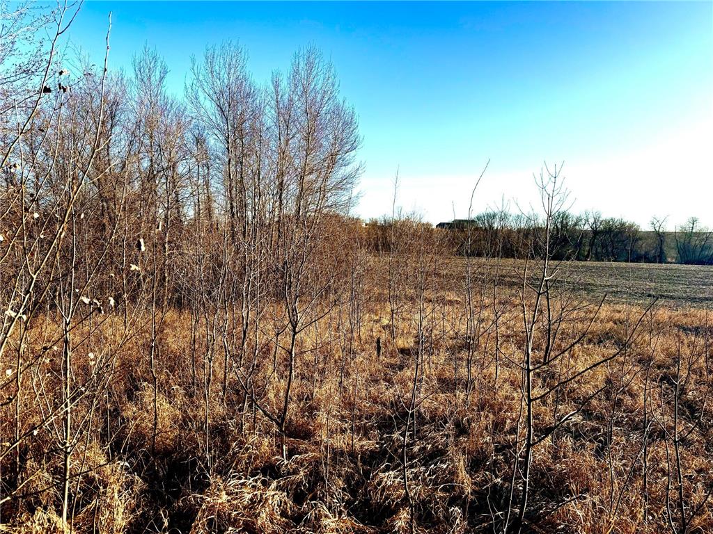 TBD-Parcel 4 160th Street Clitherall MN 56524 - Belmont Lake 6510864 image1