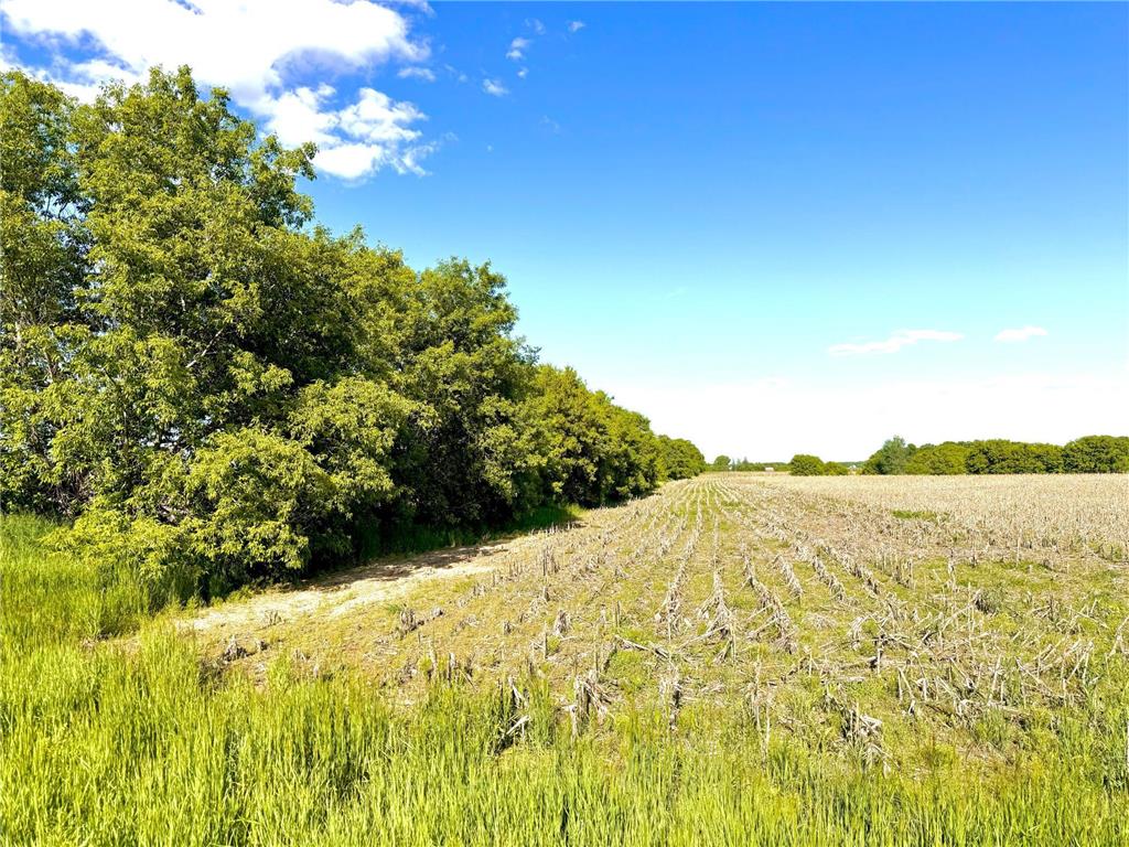 TBD- Parcel A 20.07AC 90th Ave Princeton MN 55371 6551435 image1