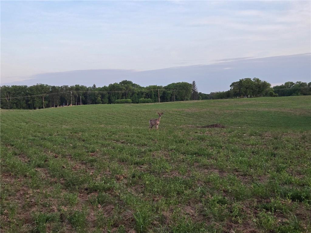 TBD Parcel A County Rd 5 NW Spencer Brook Twp MN 55371 7086976 image2