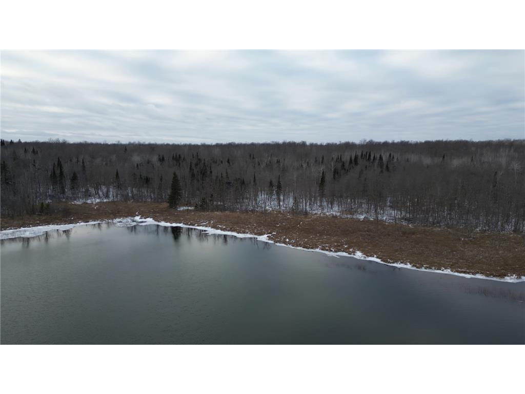 TBD - Parcel B Ticonderoga Trail Hackensack MN 56452 - Kid 7017416 image9