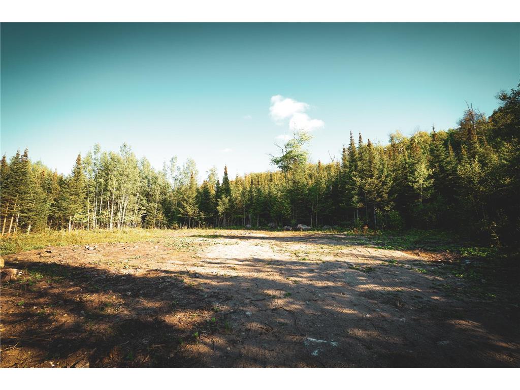 TBD Parcel C Apex Drive Beatty Twp MN 55723 6595380 image1