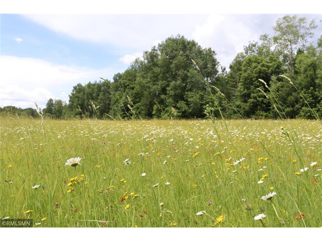 TBD Parcel C Beroun Cross Beroun Crossing Road Brook Park Twp MN 55007 7096661 image4