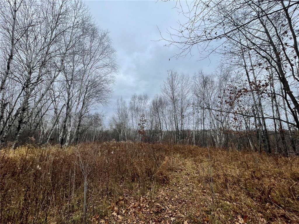 TBD (Parcel C) Olson Road Hinckley MN 55037 6820983 image10