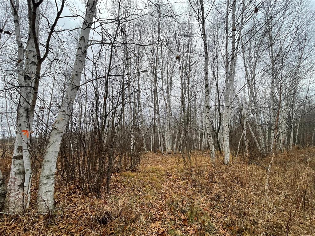 TBD (Parcel C) Olson Road Hinckley MN 55037 6820983 image11