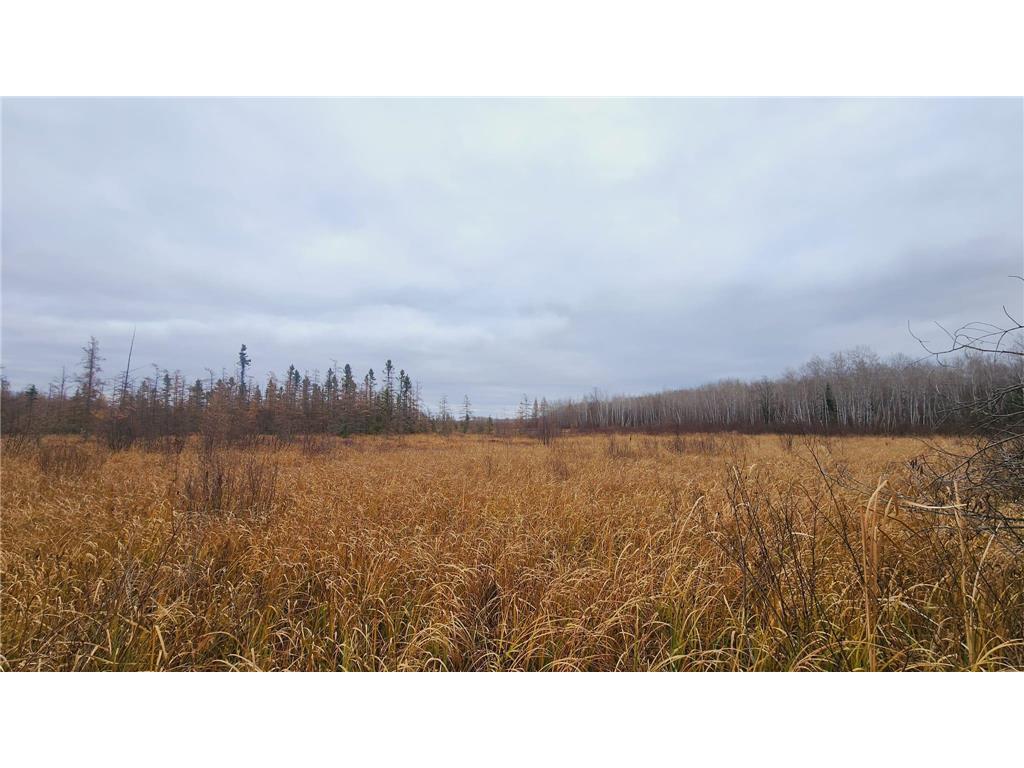 TBD (Parcel C) Olson Road Hinckley MN 55037 6820983 image14