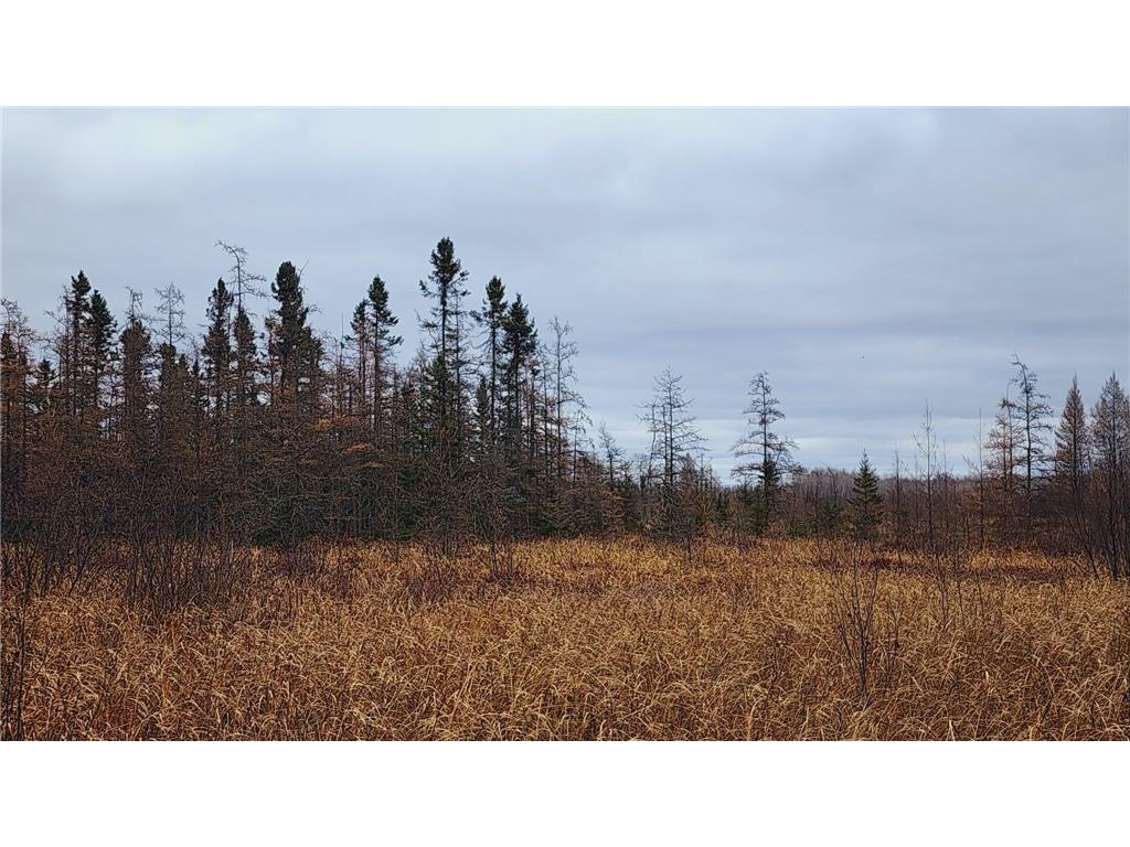 TBD (Parcel C) Olson Road Hinckley MN 55037 6820983 image15