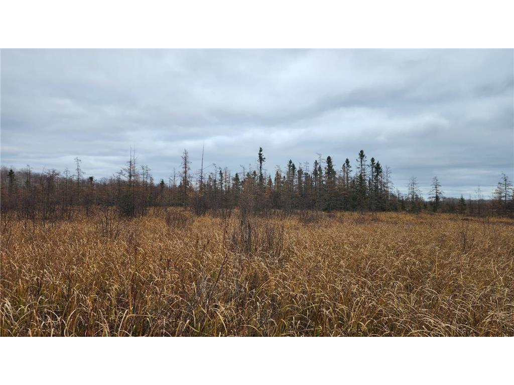 TBD (Parcel C) Olson Road Hinckley MN 55037 6820983 image16