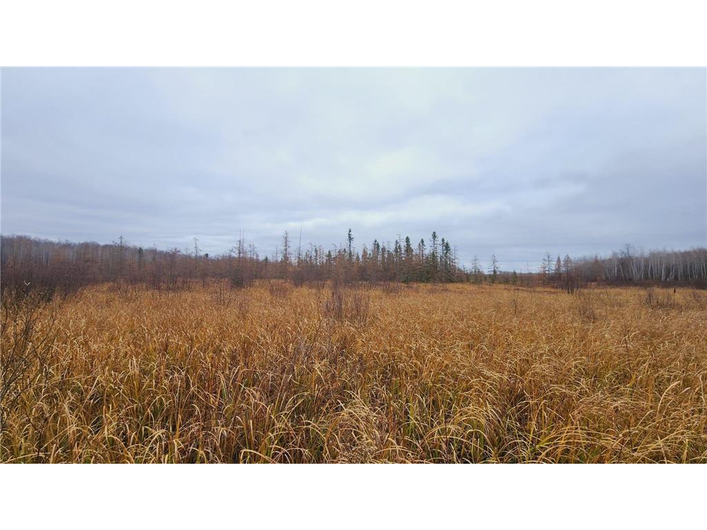 TBD (Parcel C) Olson Road Hinckley MN 55037 6820983 image21