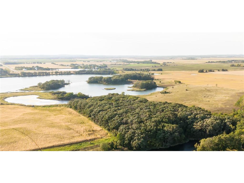 TBD Parcel D County 42 Parkers Prairie MN 56361 - Horsehead 6685198 image15