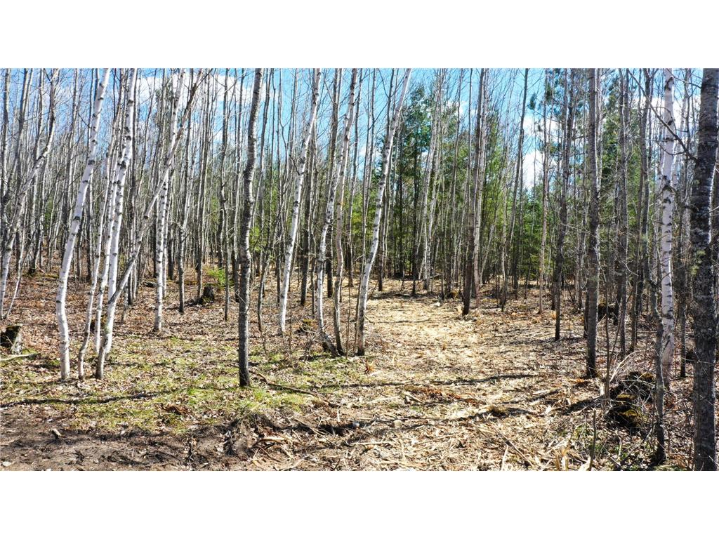 TBD Parcel F Frazer Bay Road Greenwood Twp MN 55723 7070290 image4