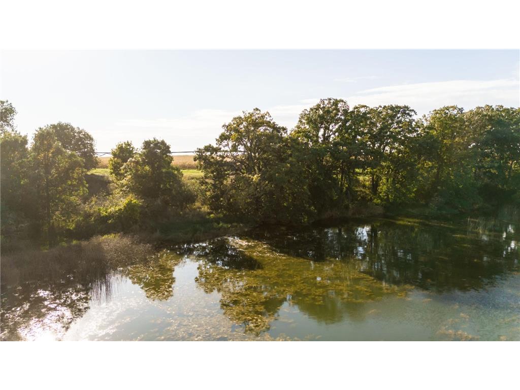 TBD Parcel H County 42 Parkers Prairie MN 56361 - Horsehead 6685358 image15