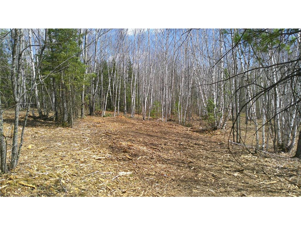 TBD Parcel I Frazer Bay Road Greenwood Twp MN 55723 7070302 image4