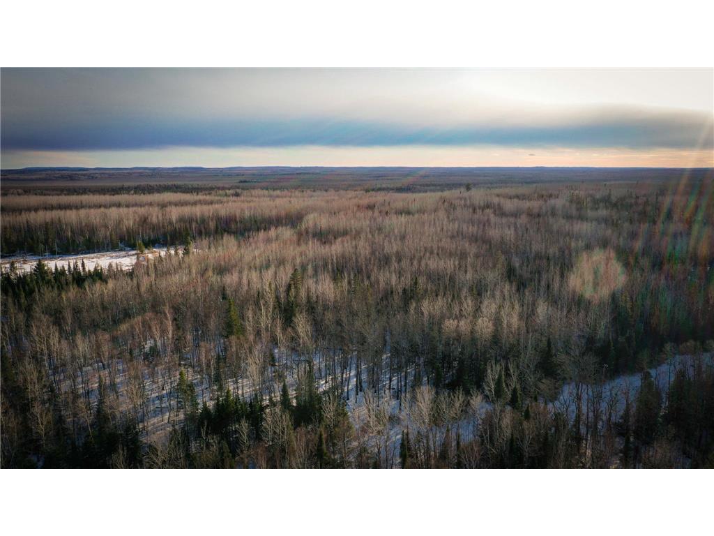 TBD Parcel S Thomas Road Greenwood Twp MN 55790 7036077 image2