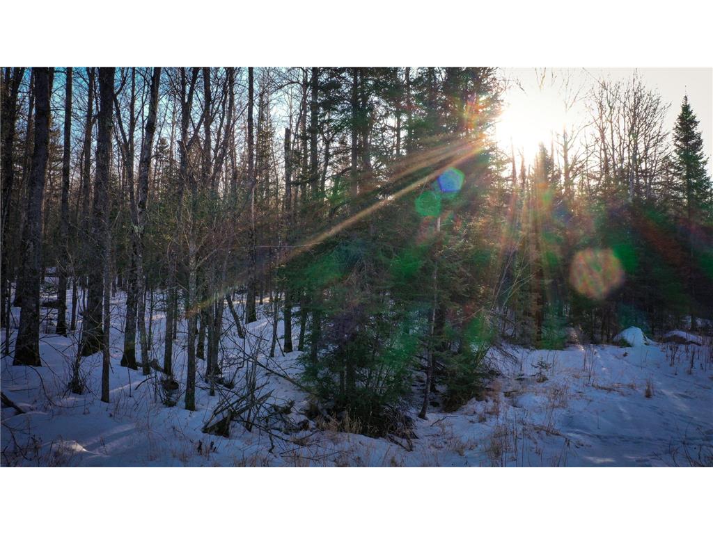 TBD Parcel S Thomas Road Greenwood Twp MN 55790 7036077 image5