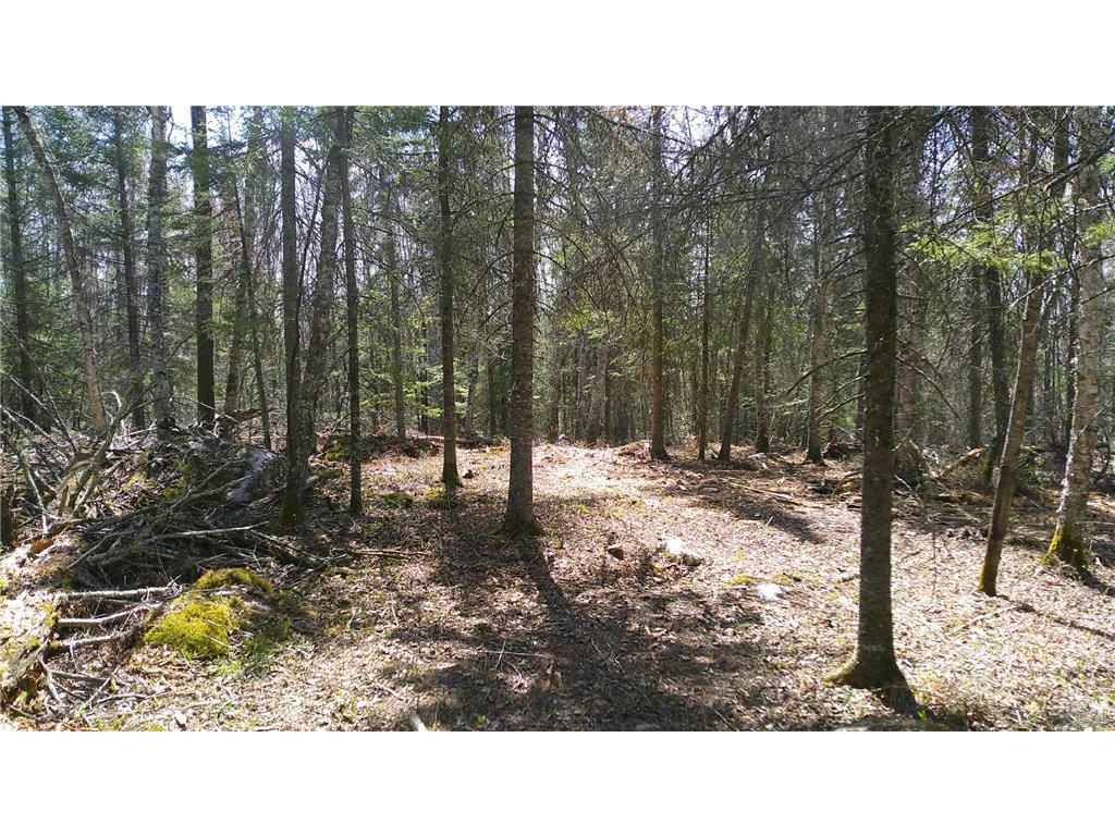 Parcel W TBD Frazer Bay Road Greenwood Twp MN 55723 7070408 image2