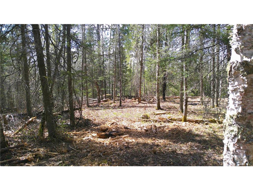Parcel W TBD Frazer Bay Road Greenwood Twp MN 55723 7070408 image3