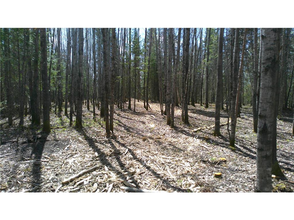 Parcel W TBD Frazer Bay Road Greenwood Twp MN 55723 7070408 image4