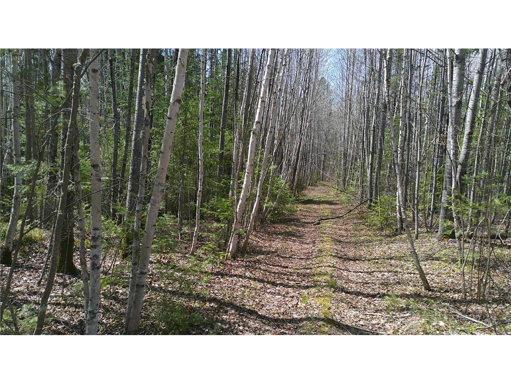 TBD Parcel Y Frazer Bay Road Greenwood Twp MN 55723 7070455 image2