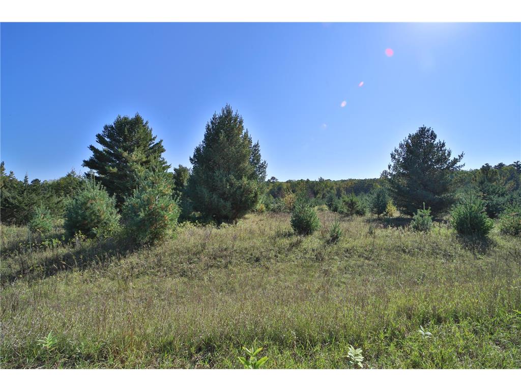 TBD Partridge Court Browerville MN 56438 6792811 image1