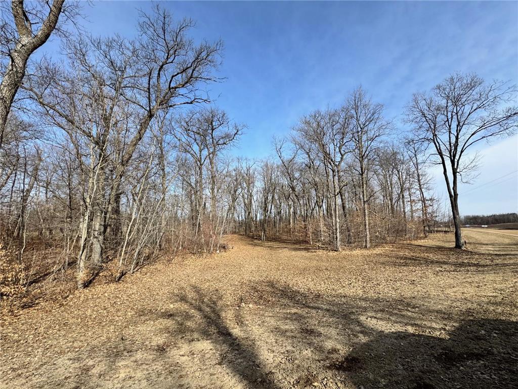 TBD Parview Lane NE Miltona Twp MN 56308 7018184 image1