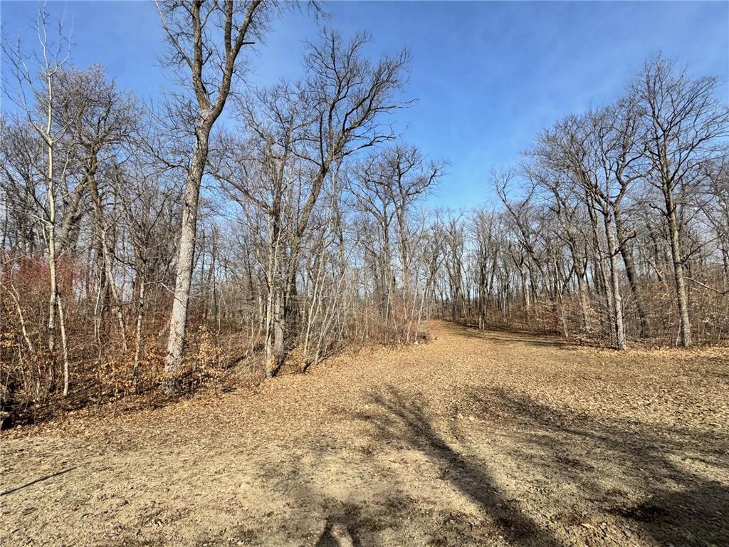 TBD Parview Lane NE Miltona Twp MN 56308 7018184 image2