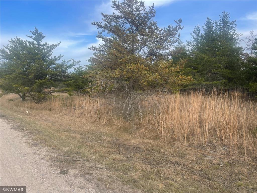 TBD Peace Lane NW Northern Twp MN 56601 6304312 image1